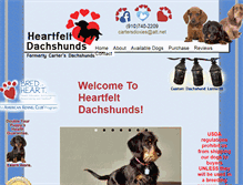 Tablet Screenshot of dachshundpuppies.org